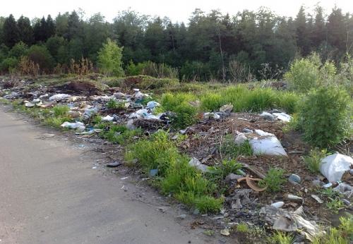 Более 500 свалок ТБО зафиксировано в Ростовской области