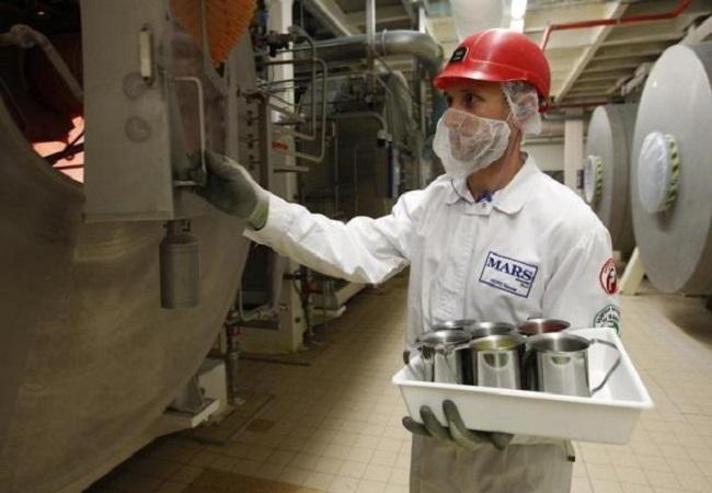 Компания Mars начинает набор сотрудников на строящийся завод в Аксайском районе
